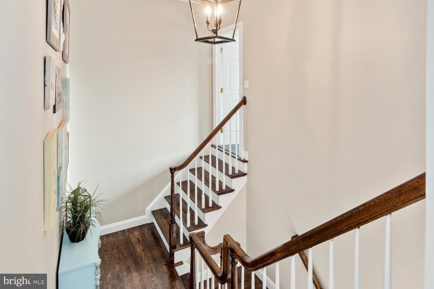 28959 Jennings Road Easton, MD 21601 - Photo 53 of 92