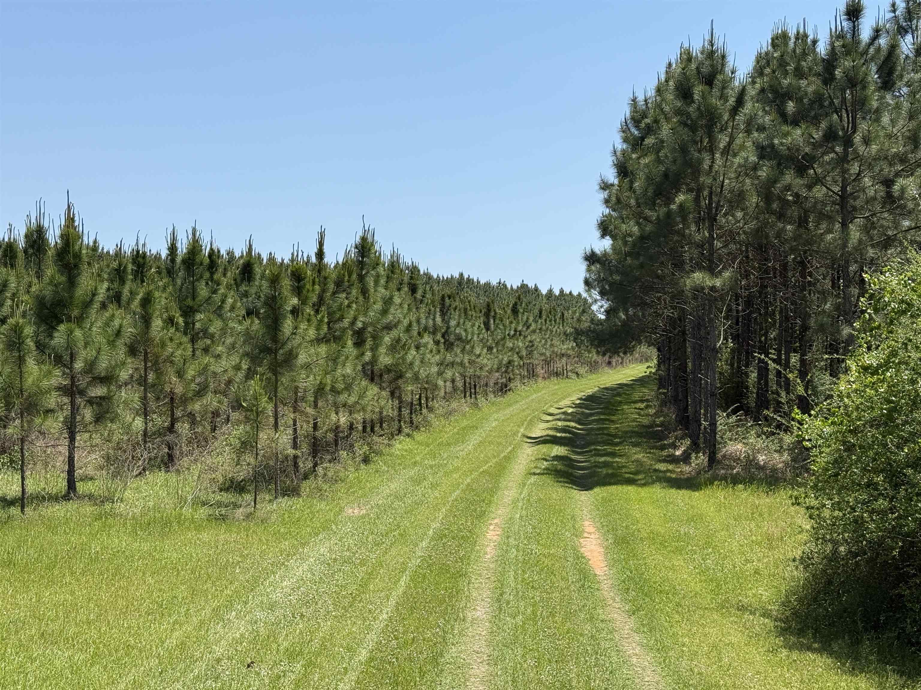 87 County Road 87 Elberta, AL 36530 - Photo 20 of 66 View