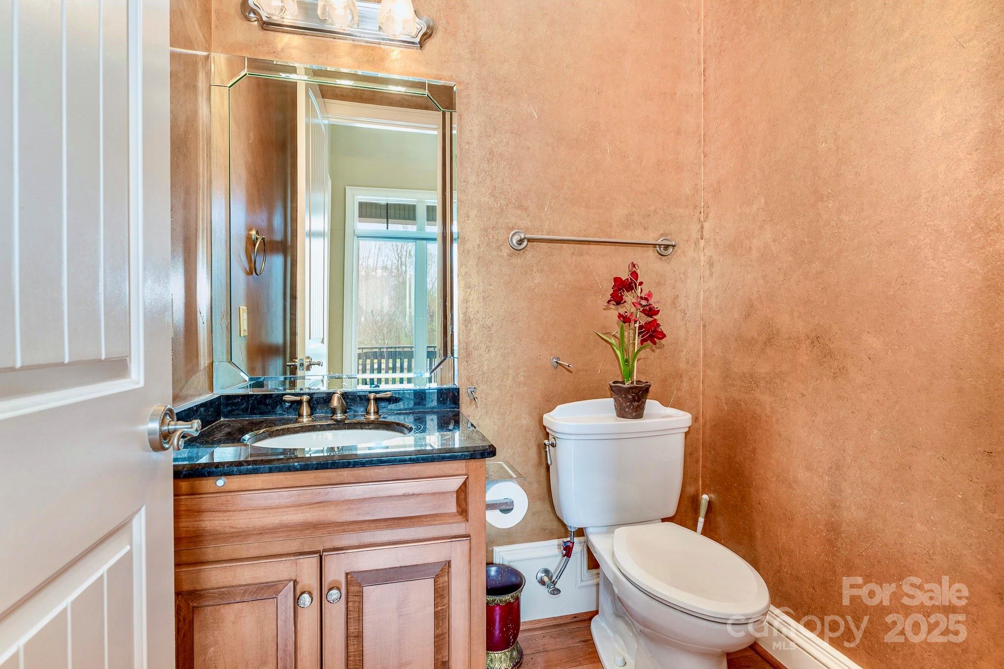520 Riviera Drive Salisbury, NC 28144 - Photo 19 of 34 a bathroom with a sink a toilet and a mirror