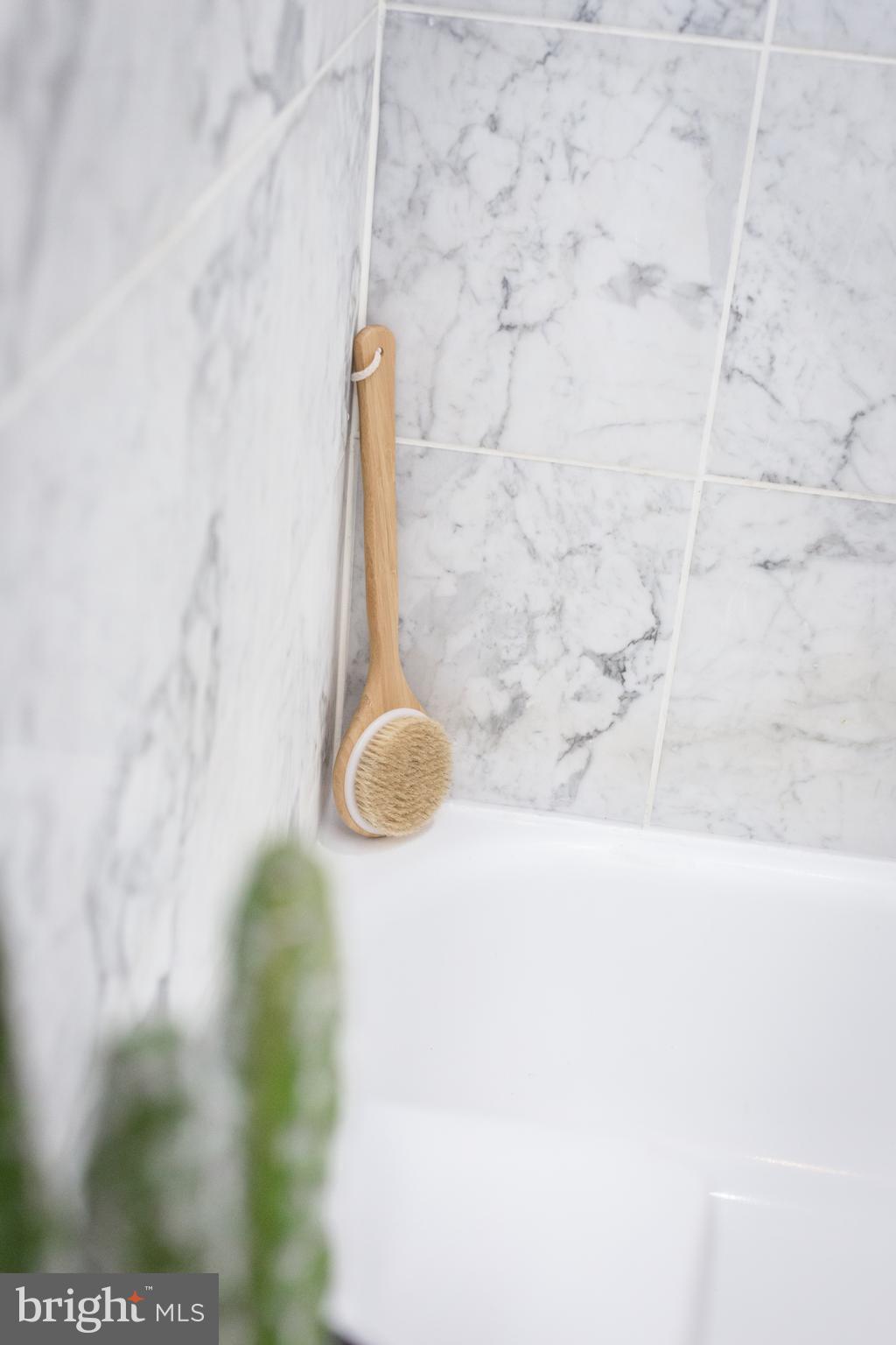 1437 Rhode Island Avenue Northwest, Unit 406 Washington, DC 20005 - Photo 22 of 46 Scruba Dub Dub, whose in the tub?