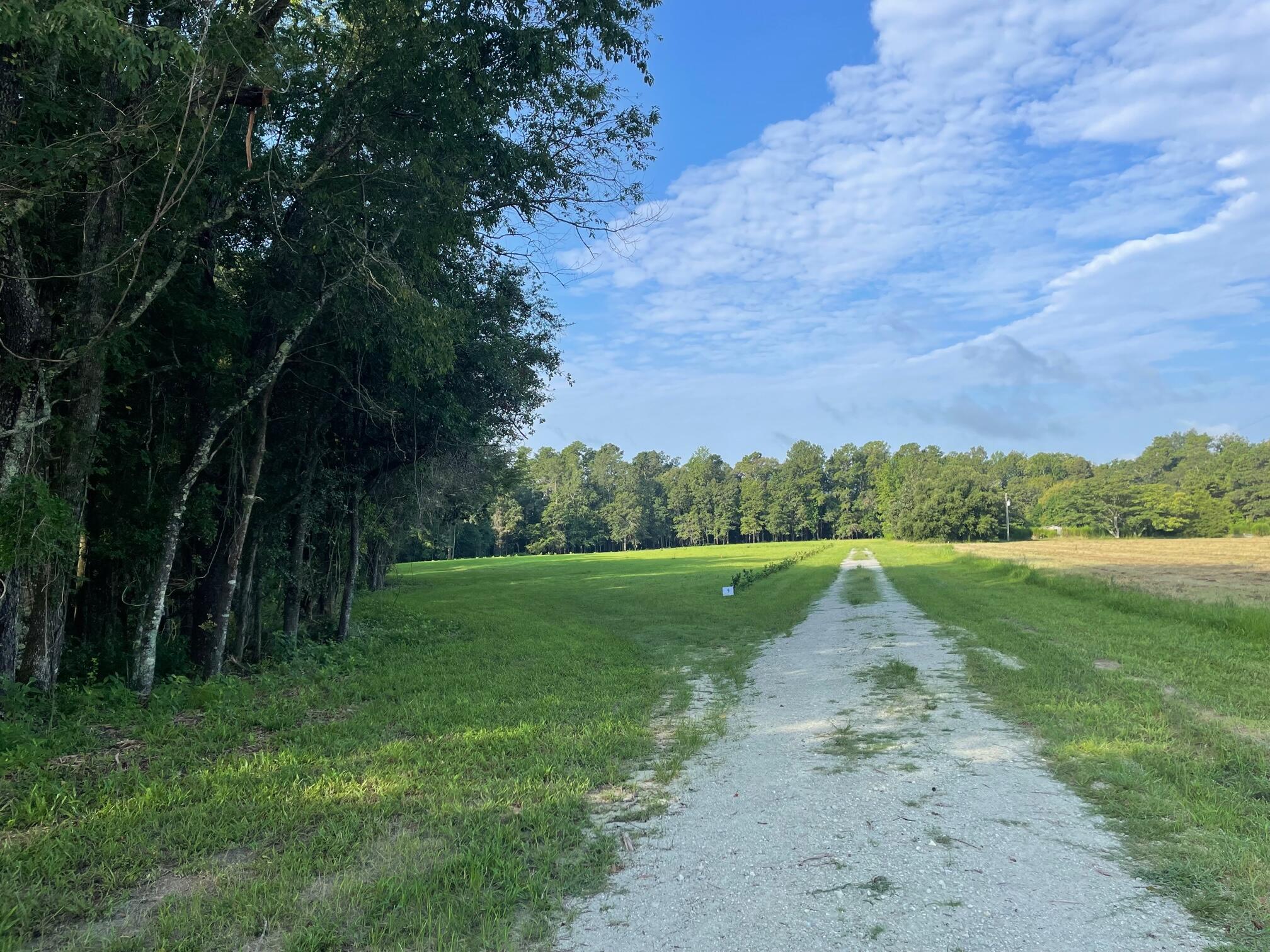 583 High Plains Ridgeville, SC 29472 - Photo 2 of 10 IMG_2142