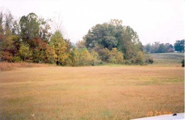 447 Marys Chapel Road Ripley, TN 38063 - Photo 1 of 1 a view of lake view
