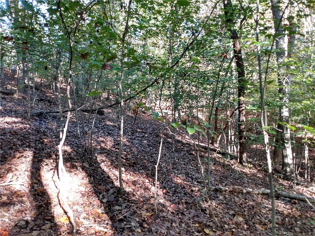 1799 Mohawk Lane Westminster, SC 29693 - Photo 5 of 11