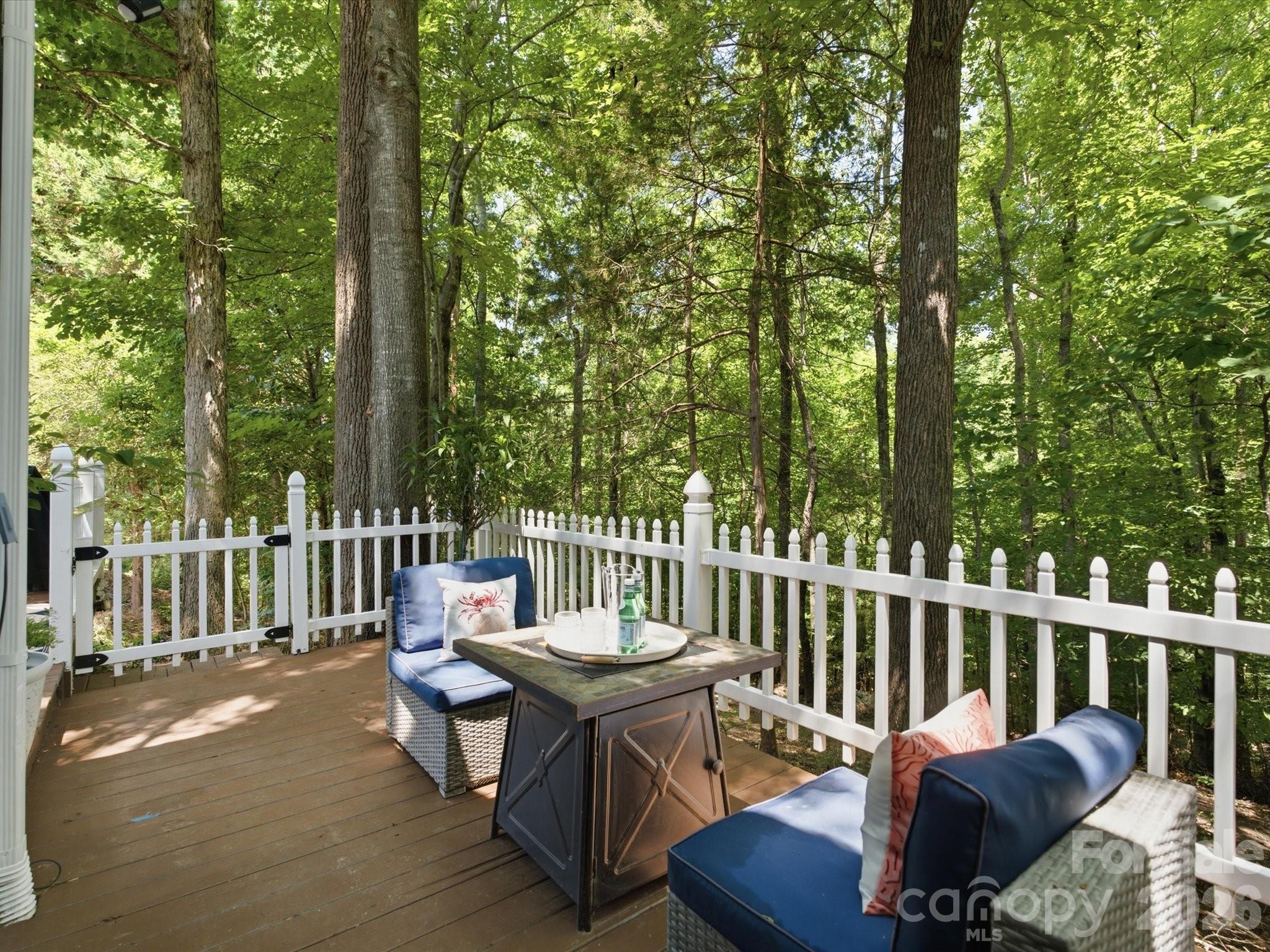 7160 Michael Scott Crossing Fort Mill, SC 29708 - Photo 32 of 43