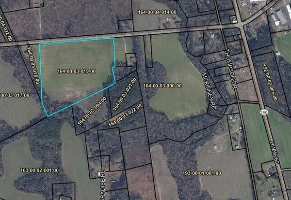 $175,000 | Tbd Moses Dingle Road, Manning, SC 29102