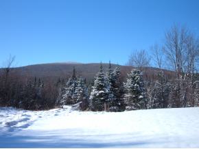 4255 Lincoln Road Ripton, VT 05766 - Photo 3 of 12