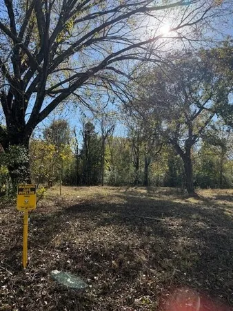 a view of dirt yard with a large tree