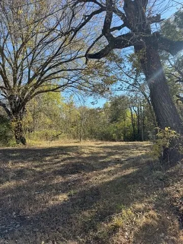 a view of dirt yard with large trees