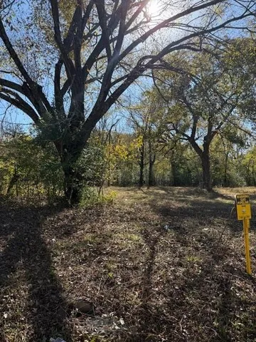 a view of a yard with trees