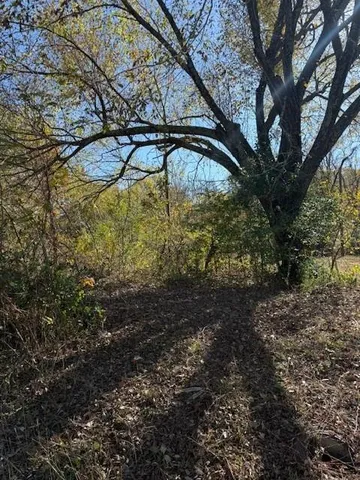a view of dirt yard with large trees