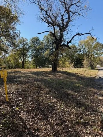 a view of a yard with large trees