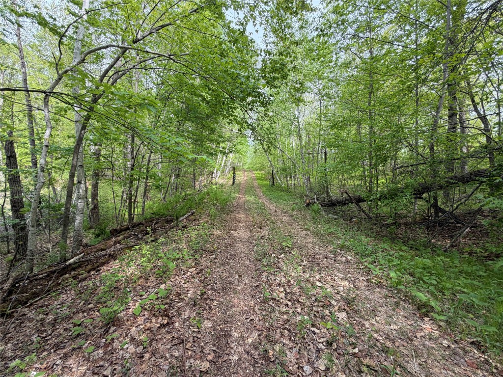 Lot 4 Peterson Road Foxboro, WI 54836 - Photo 10 of 11