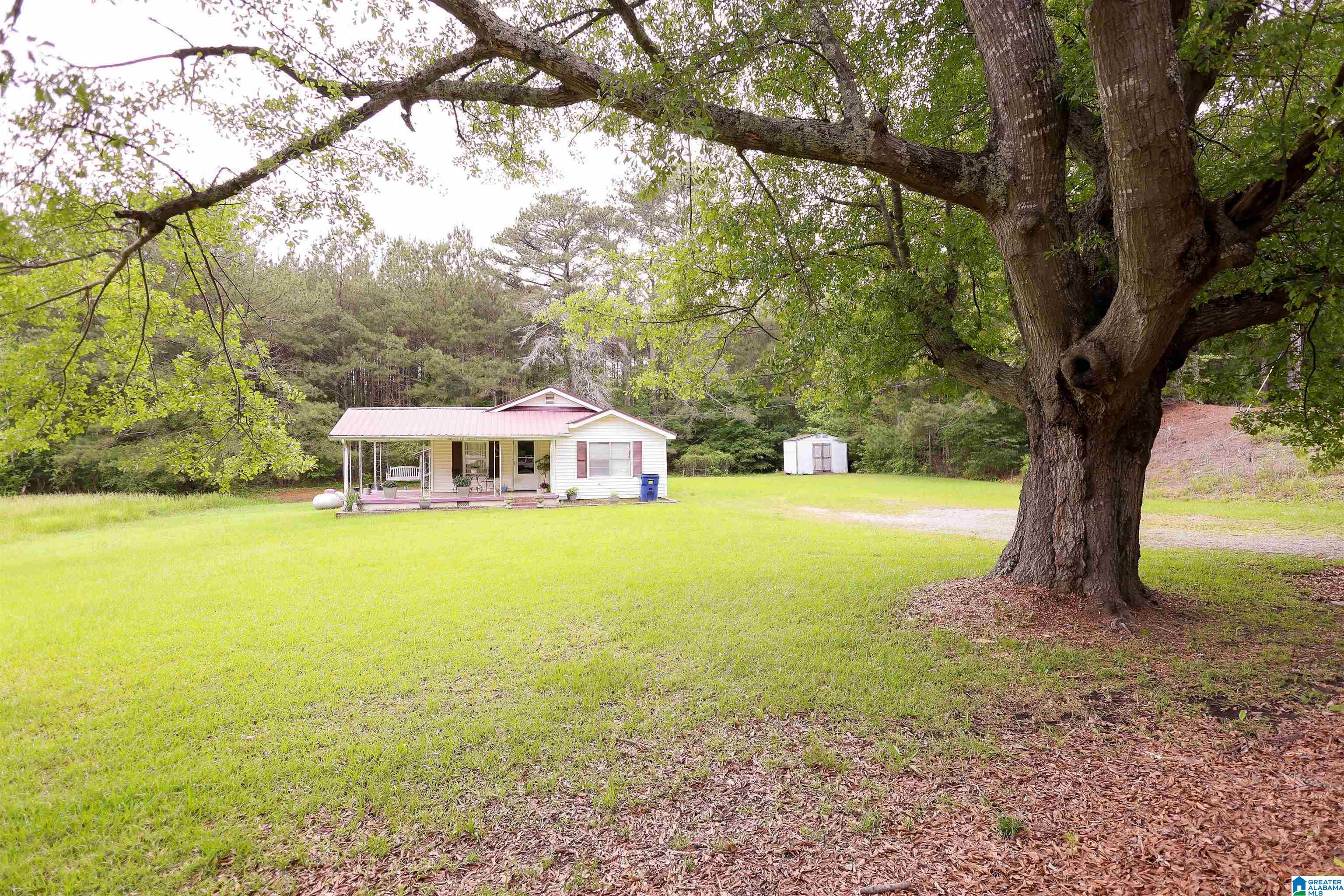 1619 Websters Chapel Road Wellington, AL 36279 - Photo 31 of 33