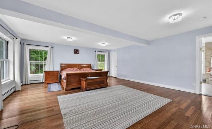 556 Lakes Road Monroe, NY 10950 - Photo 13 of 22 Bedroom featuring multiple windows, dark wood finished floors, and a baseboard heating unit