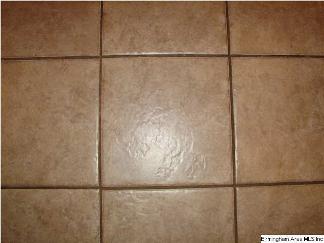 178 Silverstone Lane Alabaster, AL 35007 - Photo 25 of 30