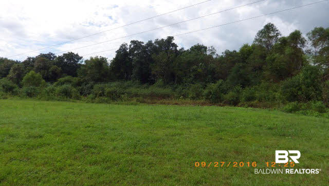 16910 Highway 98 Foley, AL 36535 - Photo 3 of 13