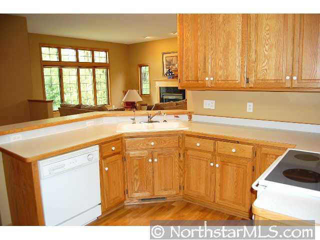 1579 Antler Point Eagan, MN 55122 - Photo 3 of 9