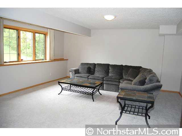 1579 Antler Point Eagan, MN 55122 - Photo 6 of 9