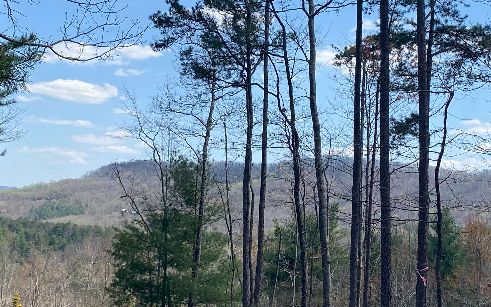 400 Deer Crest Road Blue Ridge, GA 30513 - Photo 2 of 4 Additional View