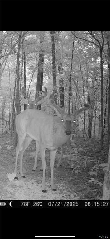 6483 Wayne Rte P Lowndes, MO 63951 - Photo 35 of 37