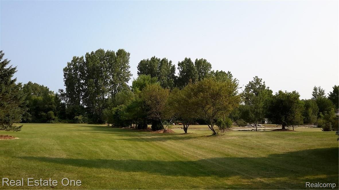 8625 35 Mile Road Romeo, MI 48065 - Photo 40 of 46 North East View