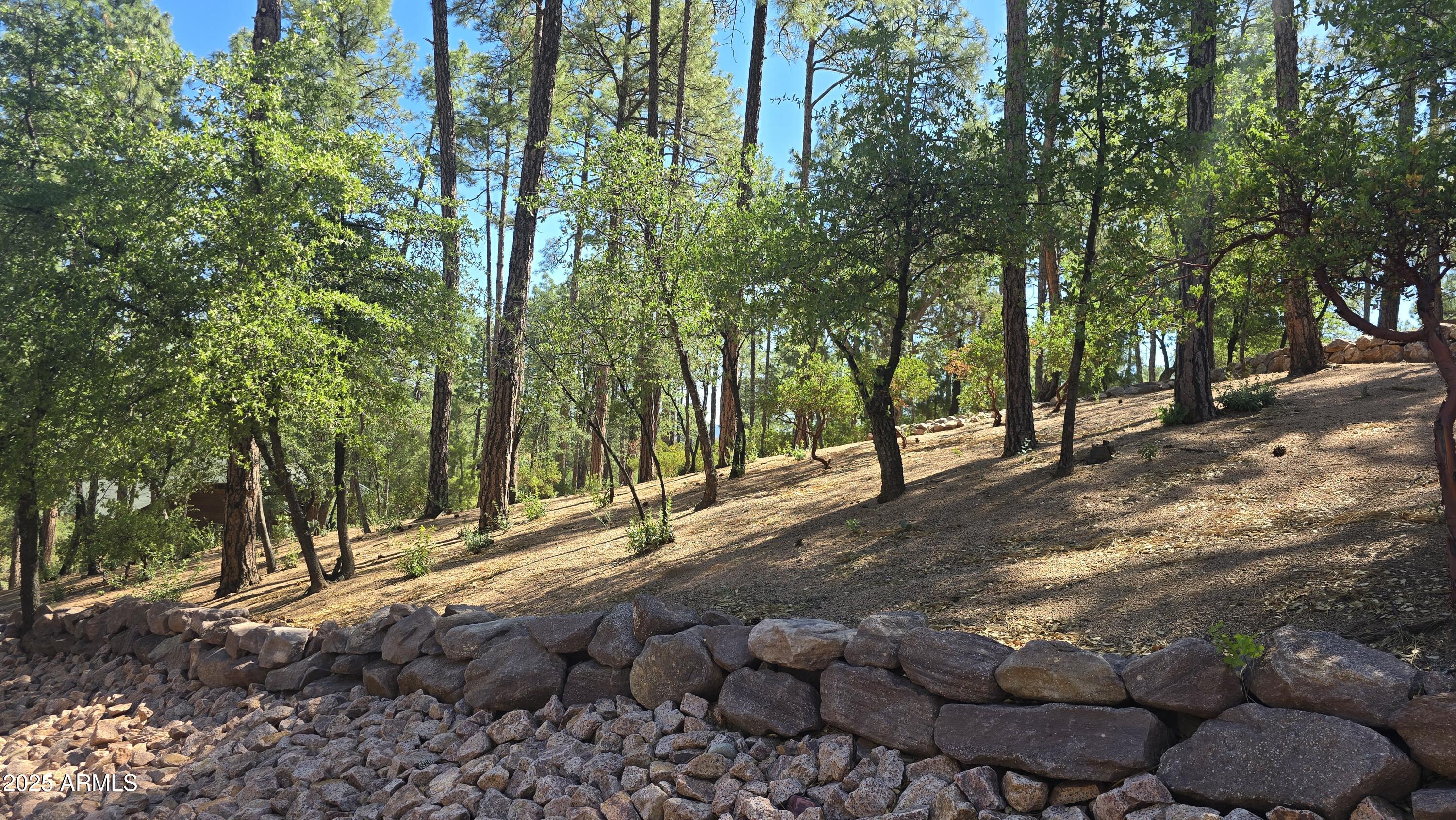 401 North Grapevine Drive, Unit 525 Payson, AZ 85541 - Photo 2 of 10 0.67 Acres