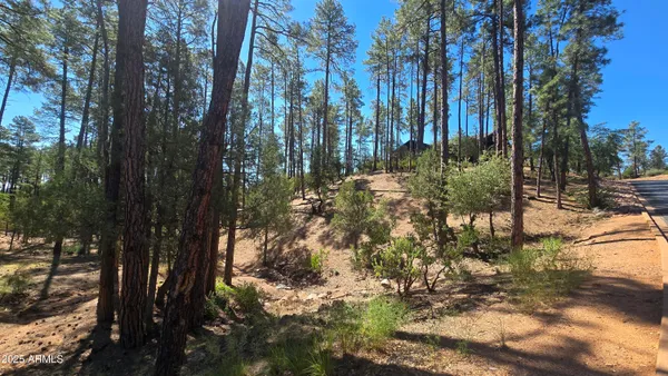 $49,900 | 401 North Grapevine Drive, Unit 525, Payson, AZ 85541