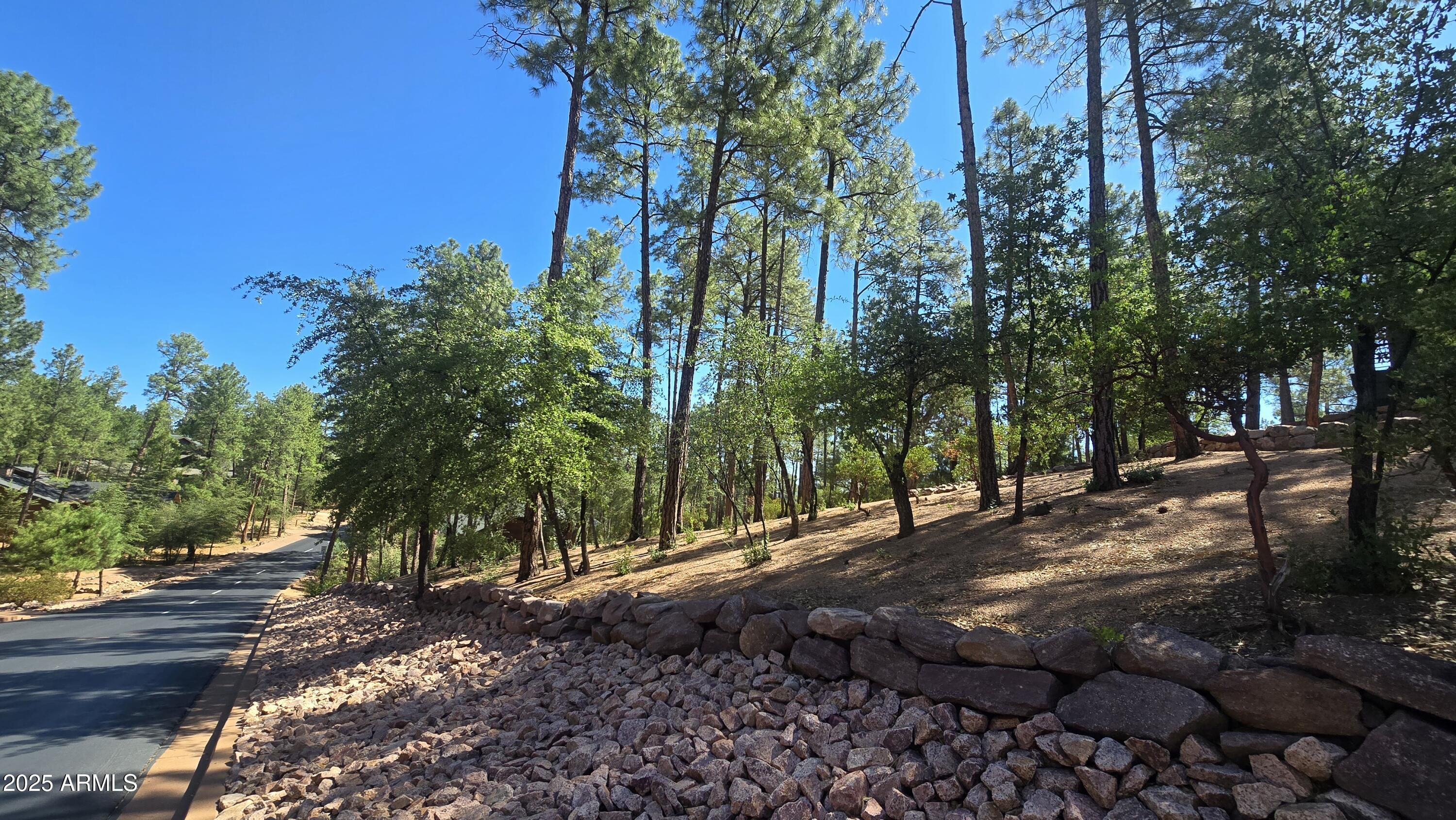 401 North Grapevine Drive, Unit 525 Payson, AZ 85541 - Photo 5 of 10 Lot 525