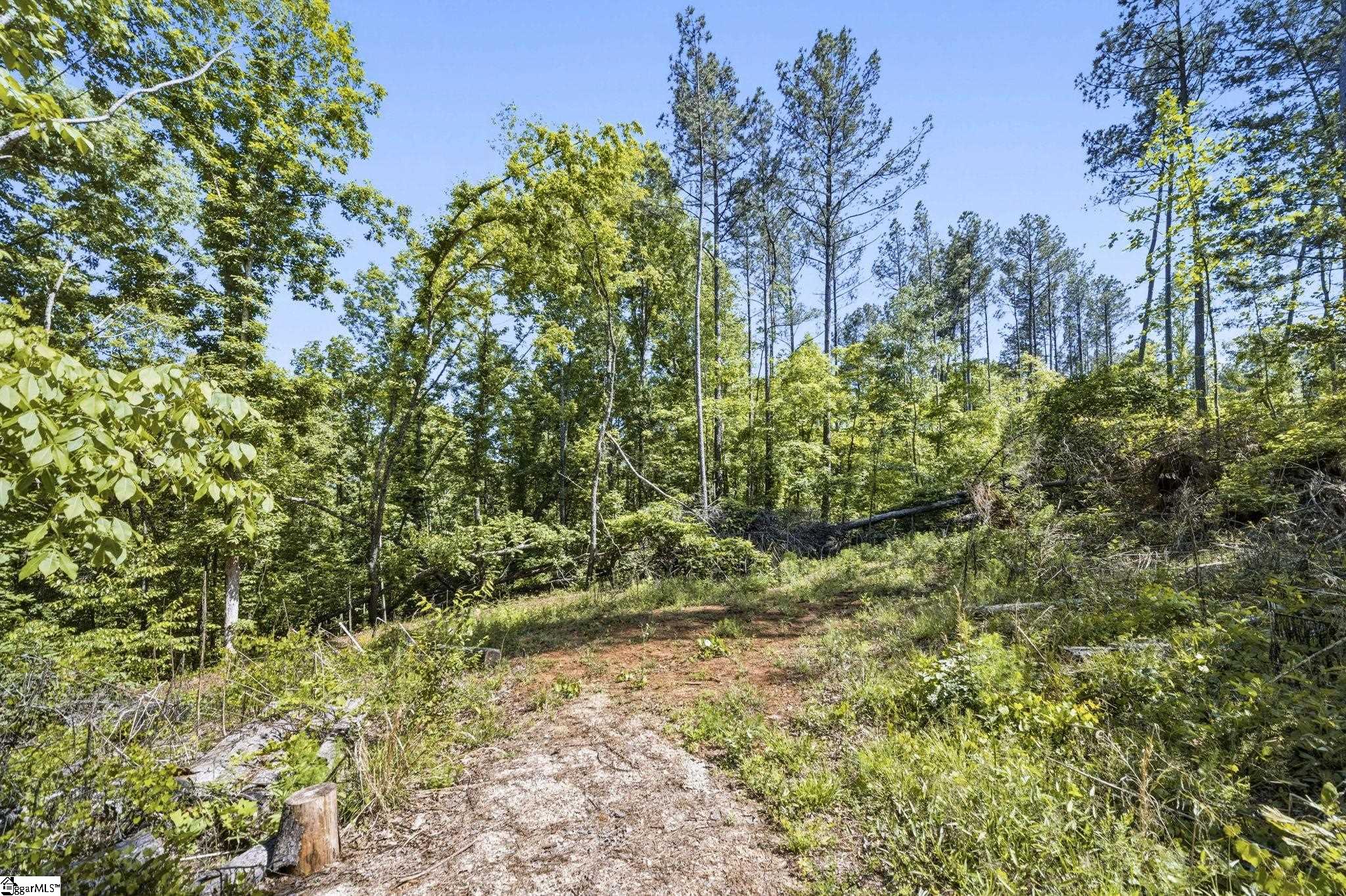 516 Franklin Finley Road Easley, SC 29640 - Photo 14 of 20