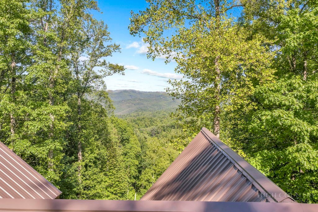 2229 Elk Ridge Road Ferguson, NC 28624 - Photo 6 of 42 a view of balcony with wooden floor
