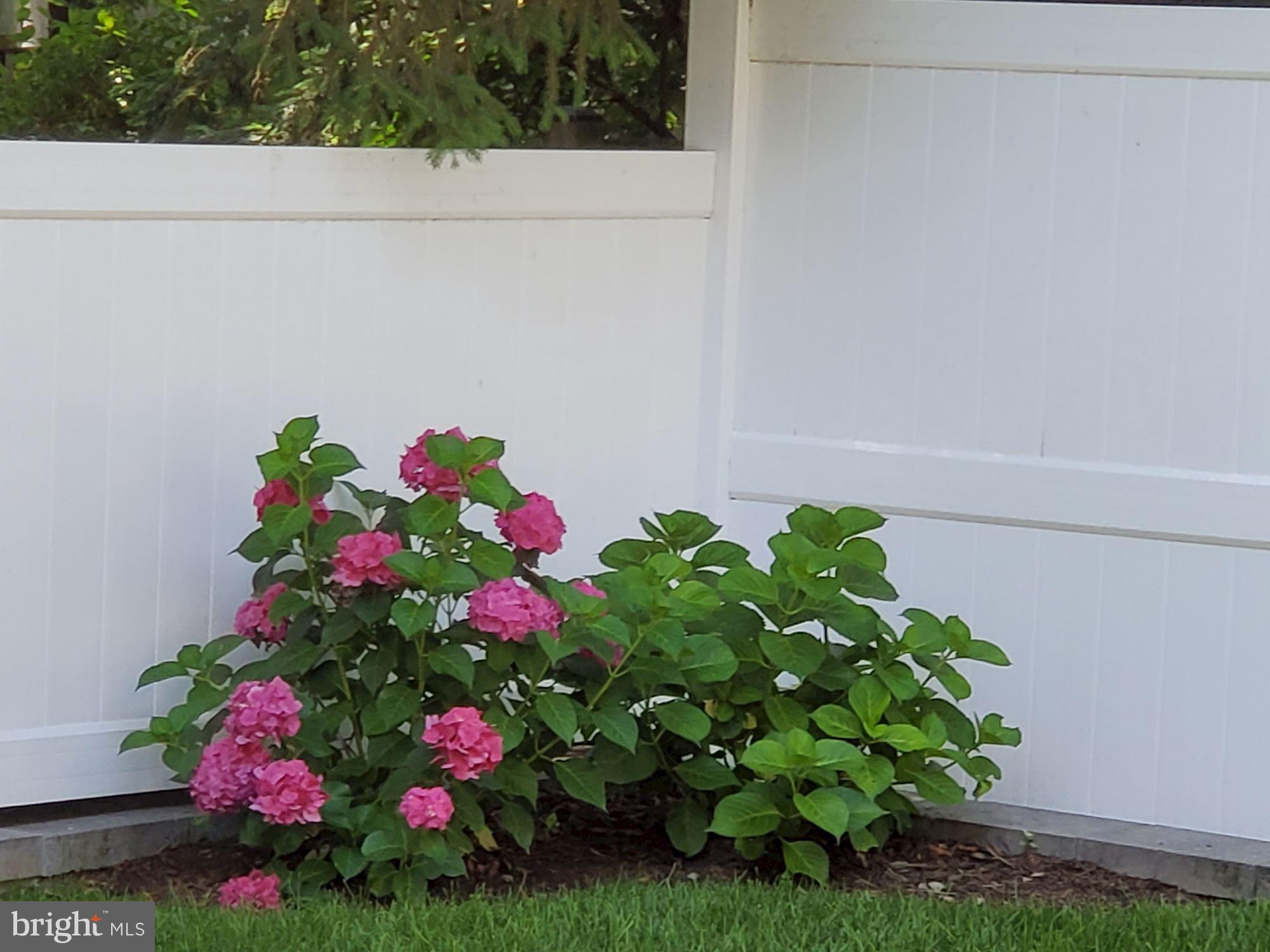 7006 Exeter Road Bethesda, MD 20814 - Photo 71 of 75