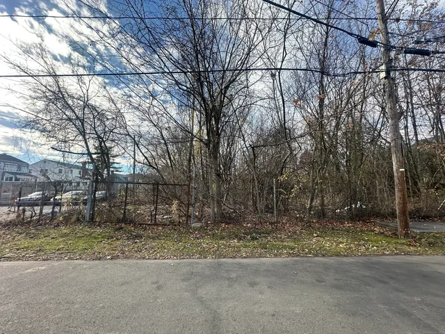 a backyard of a house with lots of trees