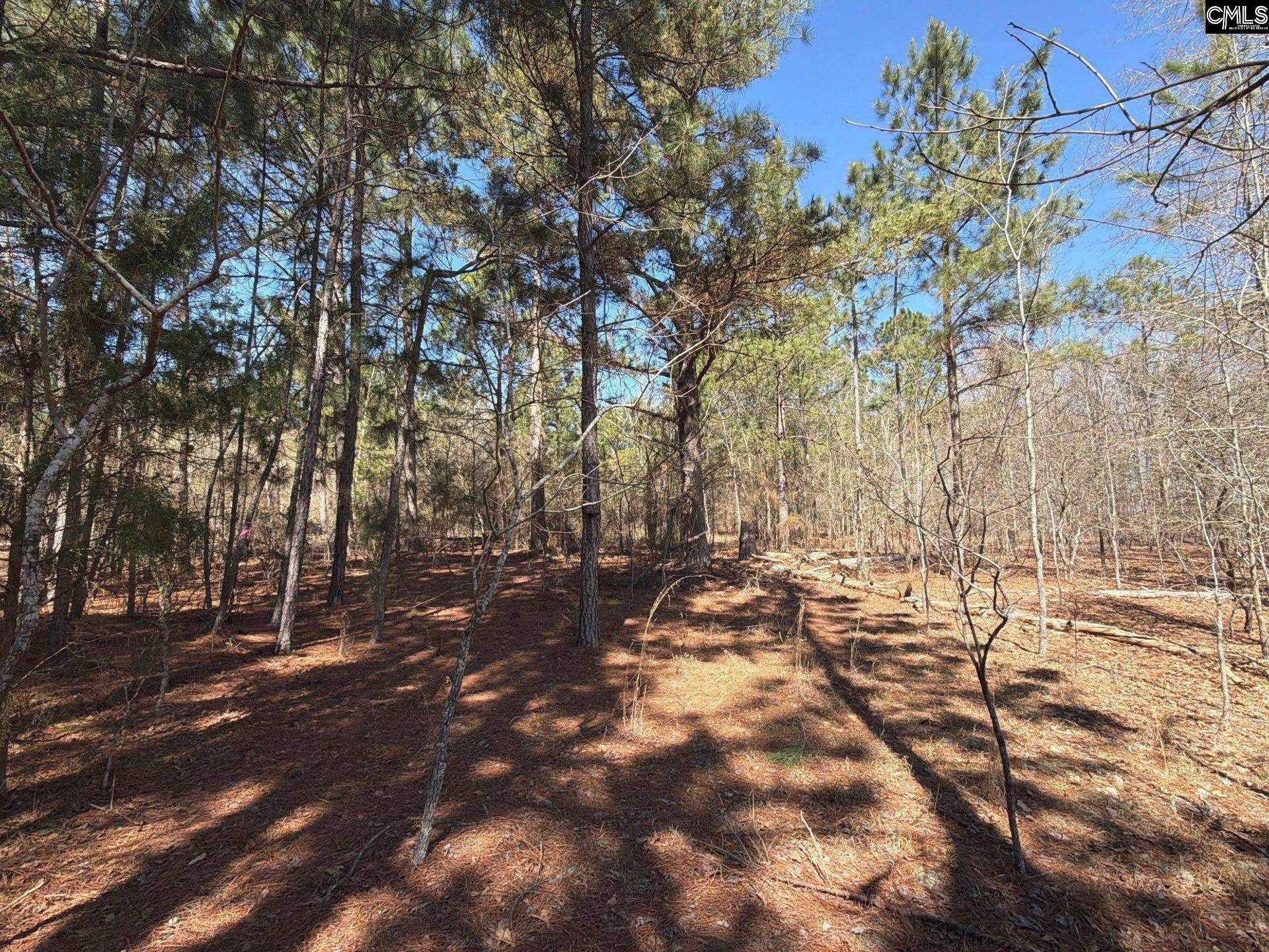 15 Boise Cascade Road Bethune, SC 29009 - Photo 12 of 15 Gallery Image 12