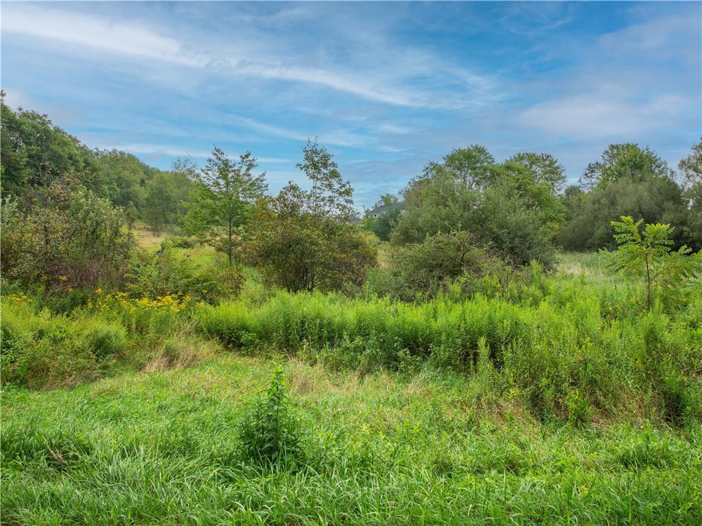 0 West Park Road Slippery Rock, PA 16057 - Photo 13 of 24 a view of a bunch of trees