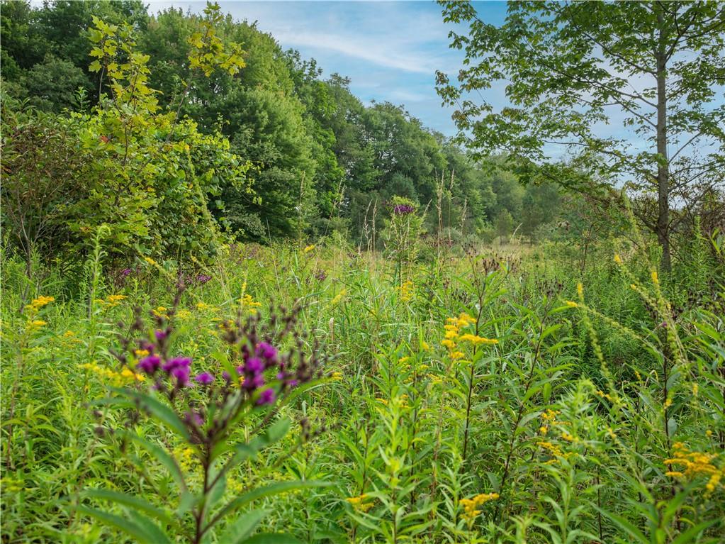0 West Park Road Slippery Rock, PA 16057 - Photo 15 of 24 a view of a lush green yard