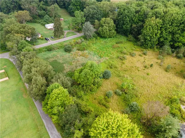 a view of a garden with a pathway