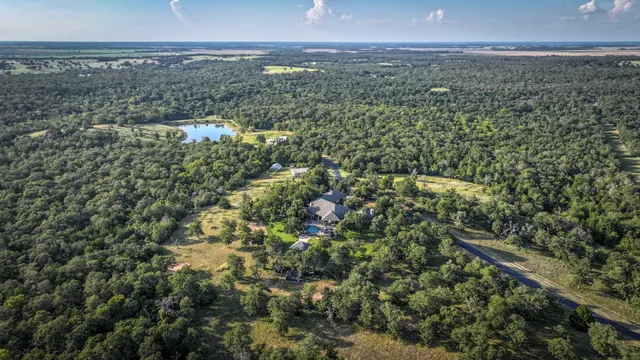 a view of a forest with a lake