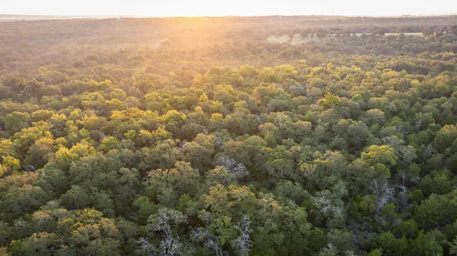 a front view of a house with a garden and yard
