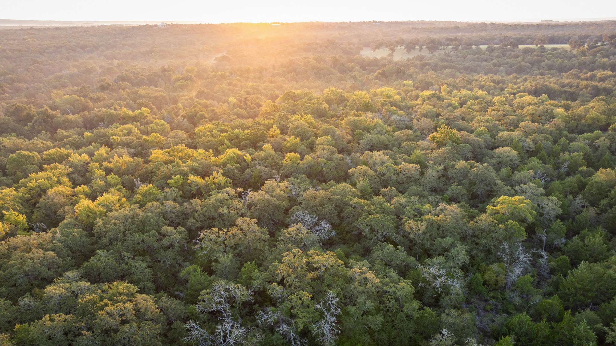 2042 22 Hills Road Gause, TX 77857 - Photo 38 of 50