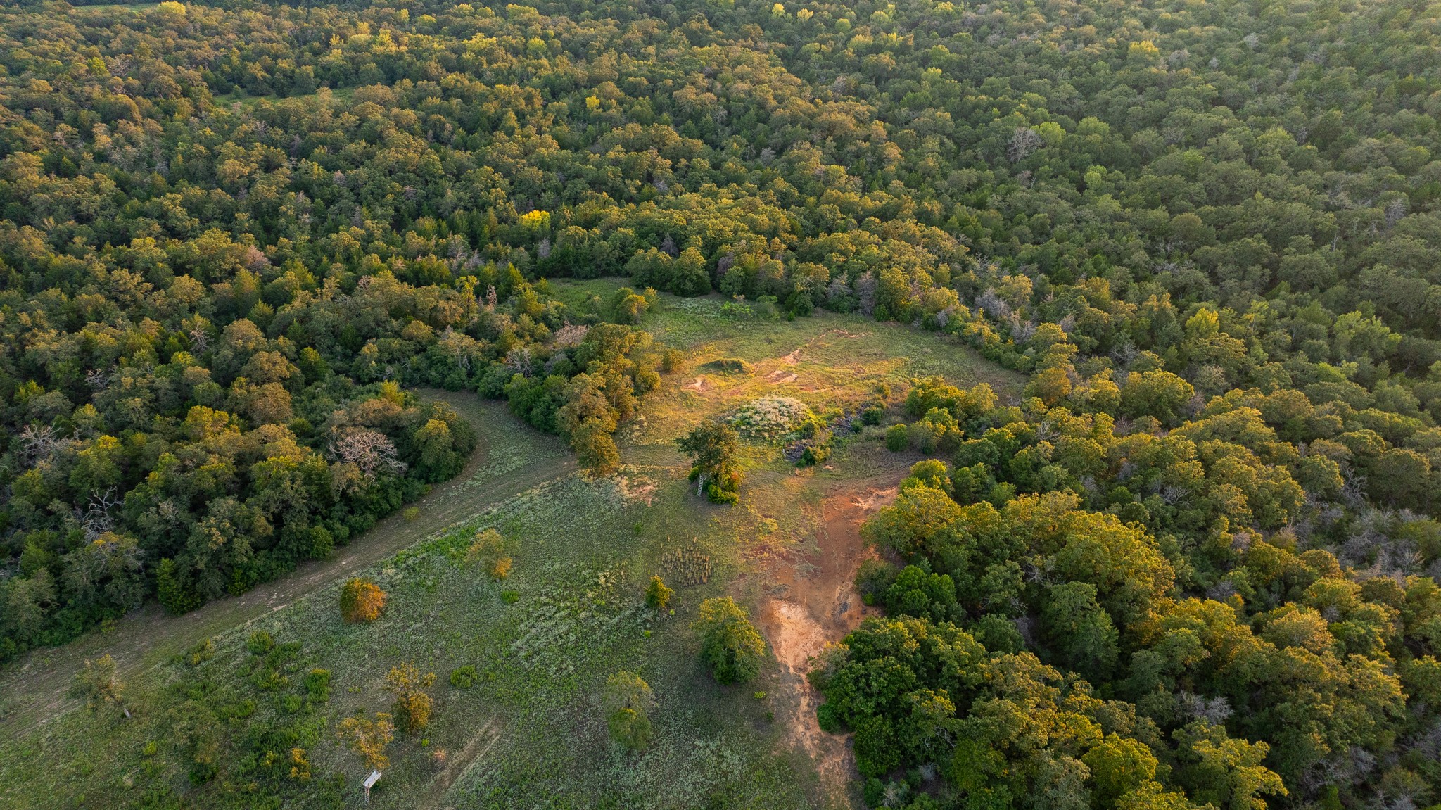 2042 22 Hills Road Gause, TX 77857 - Photo 39 of 50 a view of a forest with a lake