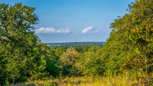 an aerial view of residential house with parking and trees