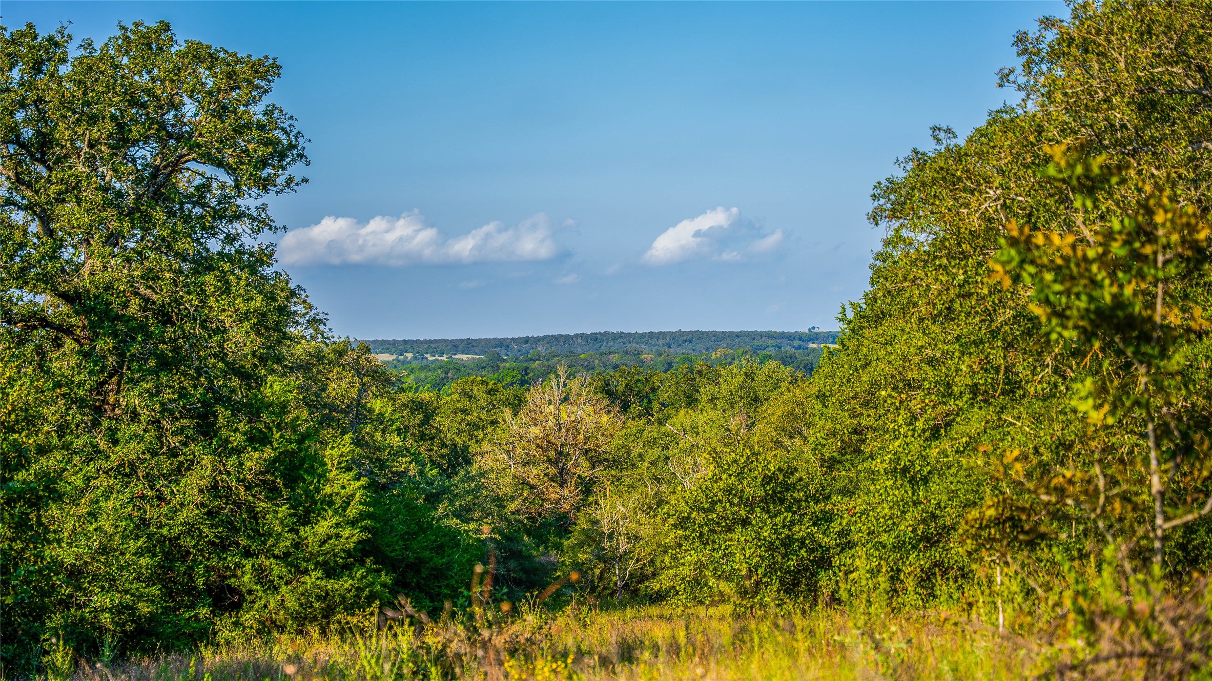 2042 22 Hills Road Gause, TX 77857 - Photo 44 of 50 a view of a green yard