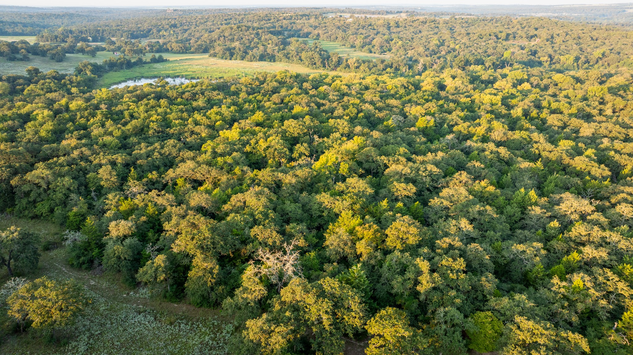 2042 22 Hills Road Gause, TX 77857 - Photo 48 of 50 an aerial view of residential houses with outdoor space and trees