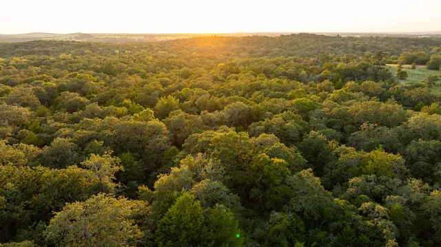 $6,750,000 | 2042 22 Hills Road, Gause, TX 77857