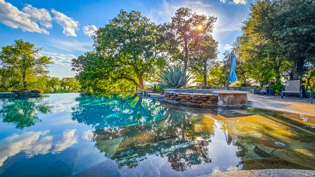 a view of a lush green space