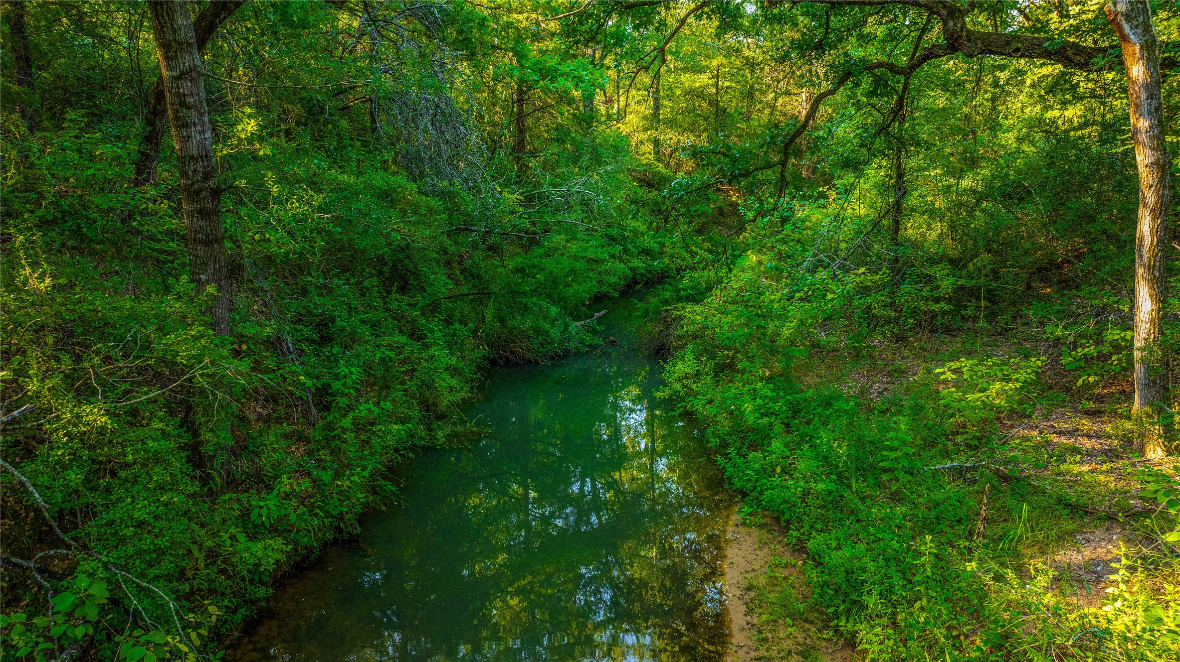2042 22 Hills Road Gause, TX 77857 - Photo 7 of 50 a view of a lush green space