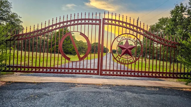 a view of a house with a yard potted plants and a large tree
