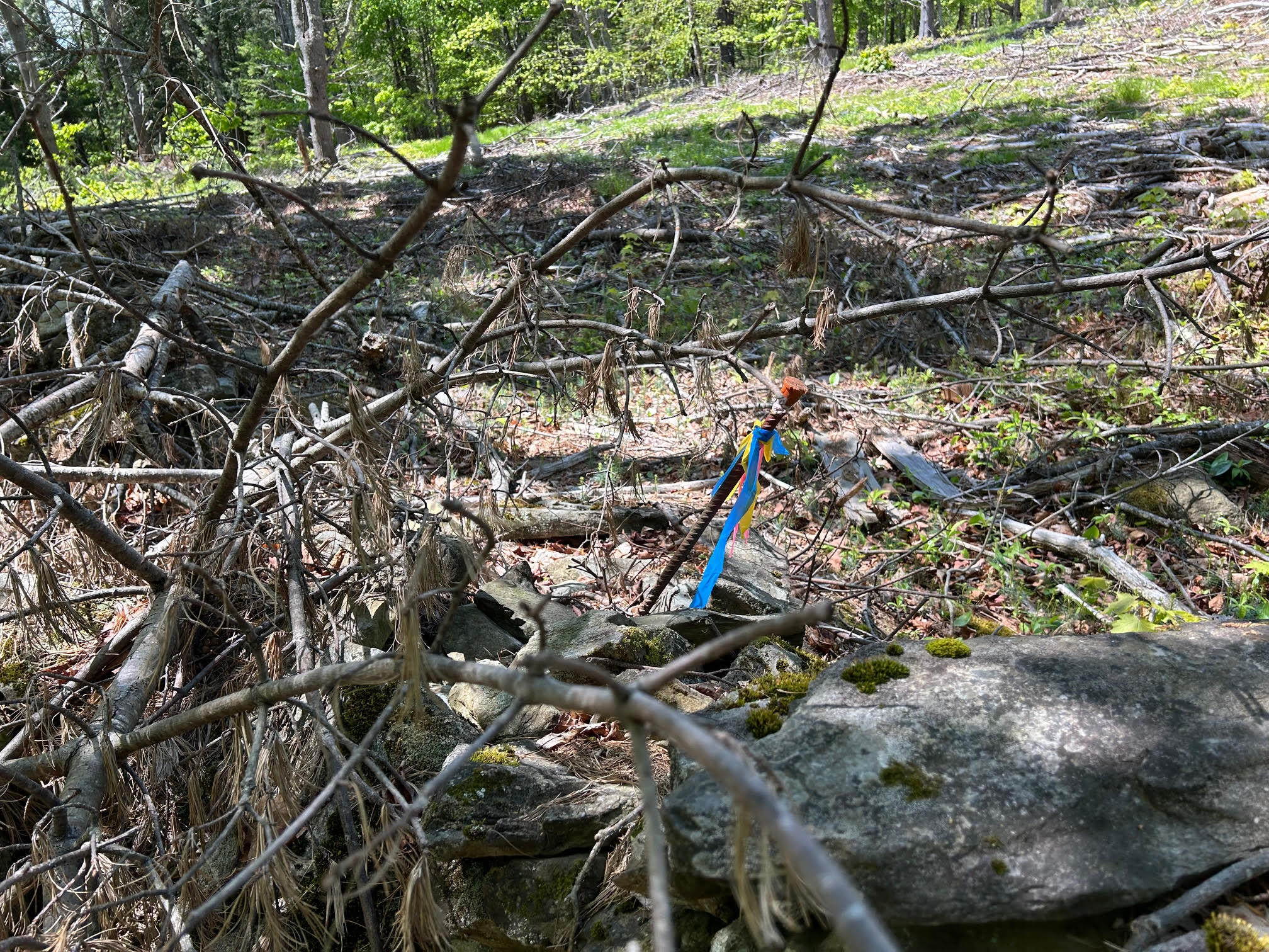 1 West Waldo Road Belfast, ME 04915 - Photo 3 of 13