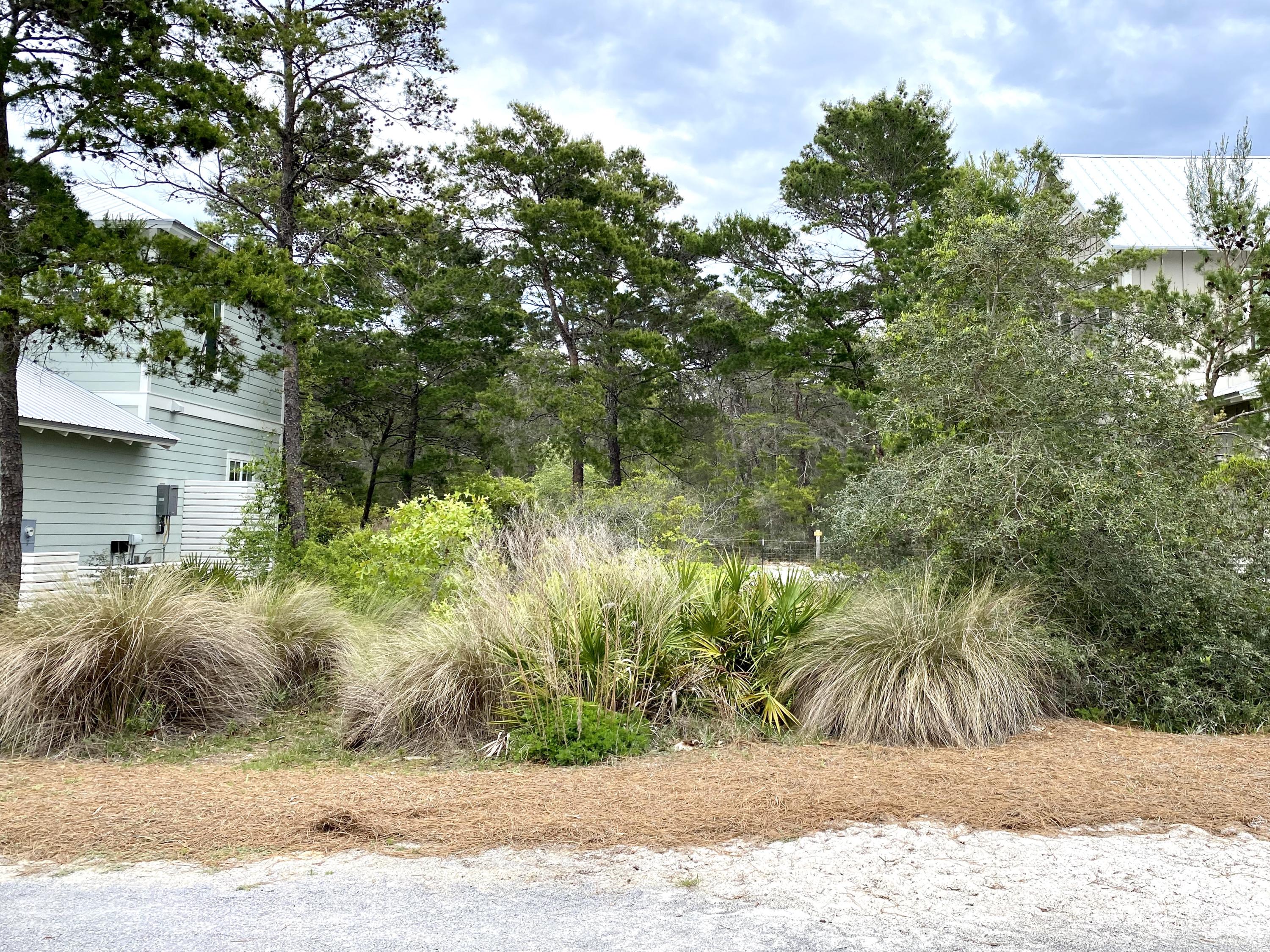Lot 12 Matts Way Santa Rosa Beach, FL 32459 - Photo 1 of 5 a view of outdoor space and yard