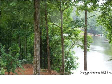 Peninsula Drive, Unit 47 Wedowee, AL 36278 - Photo 5 of 9